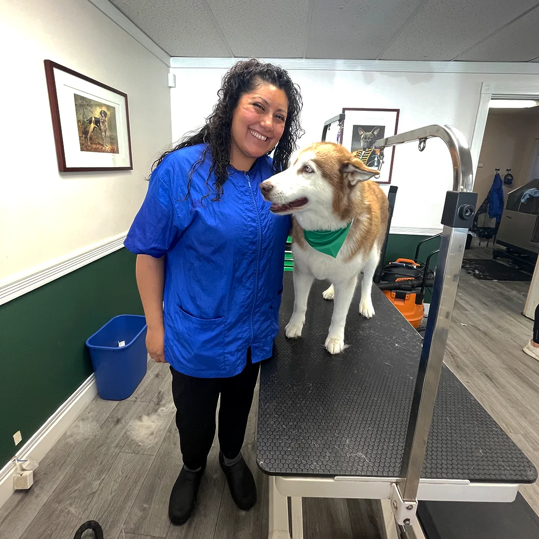 Marlen smiles beside a freshly groomed Husky wearing a green bandana on the grooming table.